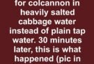 I boiled my potatoes for colcannon in heavily salted cabbage water instead of plain tap water. 30 minutes later, this is what happened